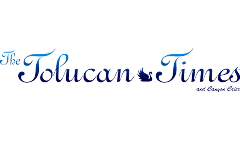 The Tolucan Times: Flirting With Morty Ovation Nominee